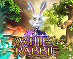 White Rabbit